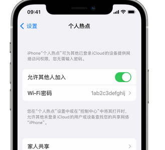 景德镇apple服务站点分享iPhone上个人热点丢失了怎么办 