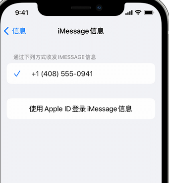 景德镇apple维修iPhone上无法正常发送iMessage信息 