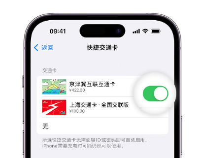 景德镇apple维修点分享iPhone上更换Apple Pay快捷交通卡手绘卡面 