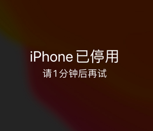 景德镇苹果手机维修分享:iPhone 显示“不可用”或“已停用”怎么办？还能保留数据吗？ 