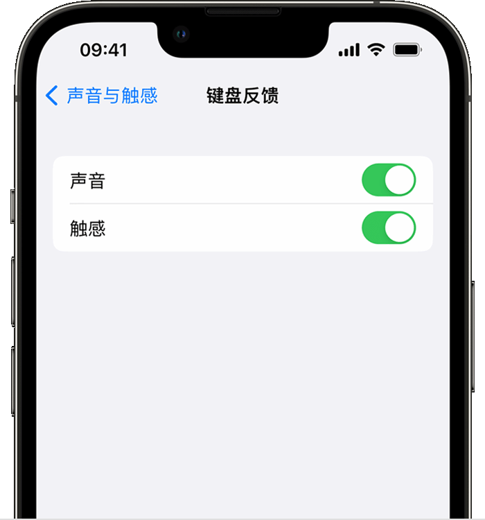 景德镇苹果14维修店分享如何在 iPhone 14 机型中使用触感键盘 