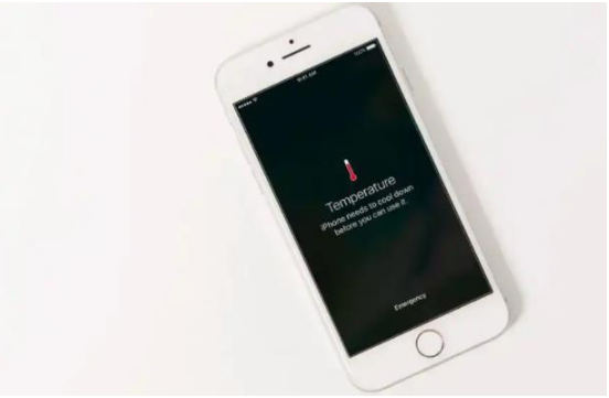 景德镇苹果手机维修分享iPhone 手机发热如何快速降温 