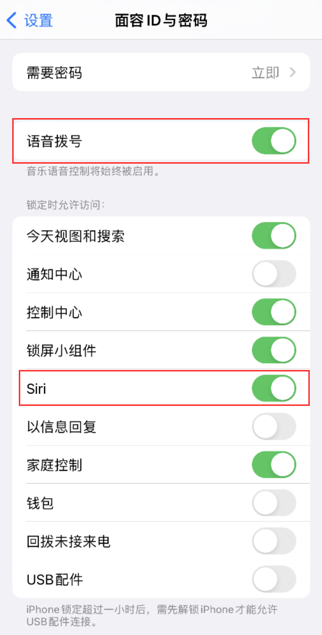 景德镇苹果维修网点分享不解锁 iPhone 的情况下通过 Siri 拨打电话的方法 