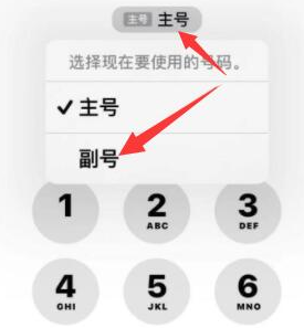 景德镇苹果14维修店分享iPhone 14 Pro Max使用副卡打电话的方法 