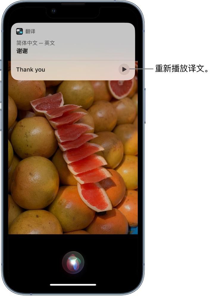 景德镇苹果14维修分享 iPhone 14 机型中使用 Siri：了解 Siri 能帮你做什么 