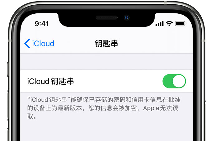 景德镇苹果手机维修分享在 iPhone 上开启 iCloud 钥匙串之后会储存哪些信息 