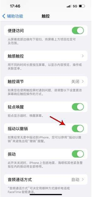 景德镇苹果手机维修分享iPhone手机如何设置摇一摇删除文字 