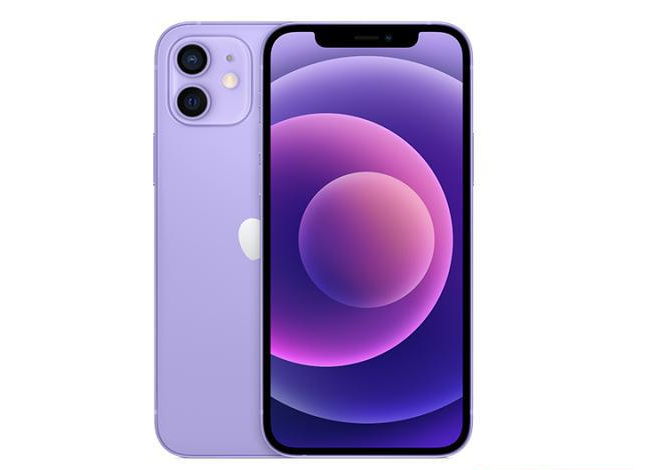 景德镇苹果手机维修分享现阶段要不要入手紫色版iPhone12 