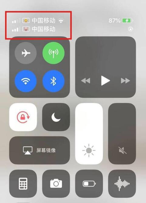 景德镇苹果手机维修分享为 iPhone 12 双卡设置标签 